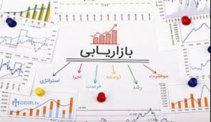 ارائه نرمافزارهای اختصاصی بازاریابی