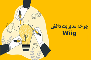 چرخه مدیریت دانش Wiig